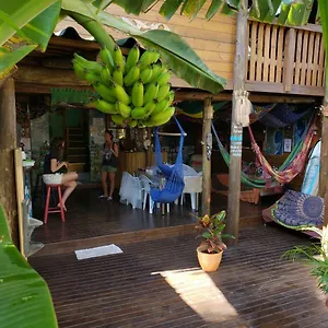 Guarda Encantada Surf , Palhoça Brasil